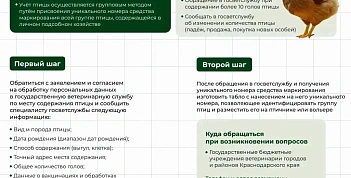 Памятка (1).webp