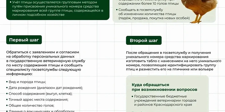 Памятка (1).webp